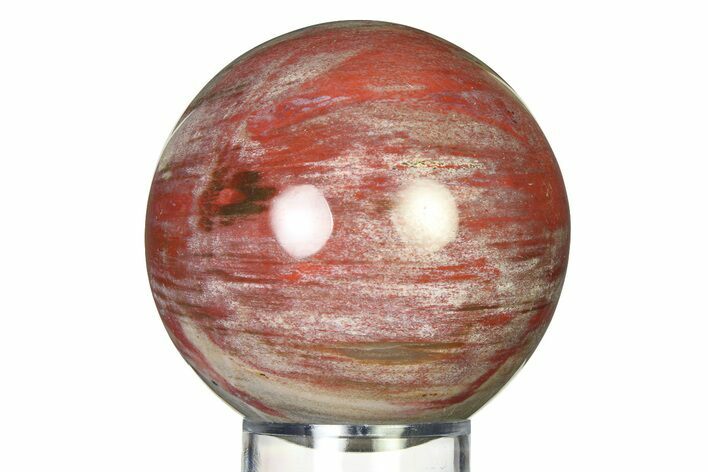 Colorful Petrified Wood (Araucaria) Sphere - Madagascar #317310